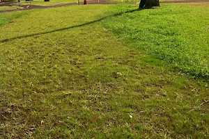 As the grasses grow in the resort returns to it's natural look.